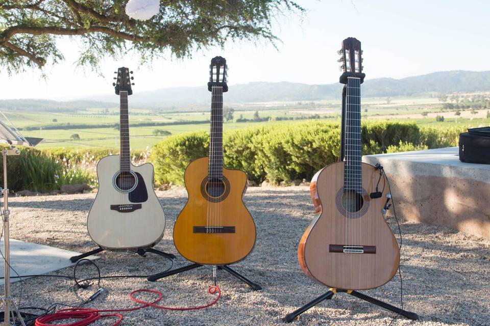 Set de guitarras