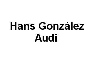 Hans González Audi