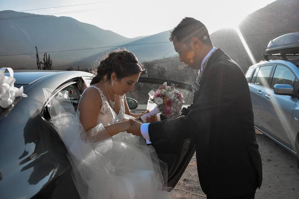 Matrimonios Viña