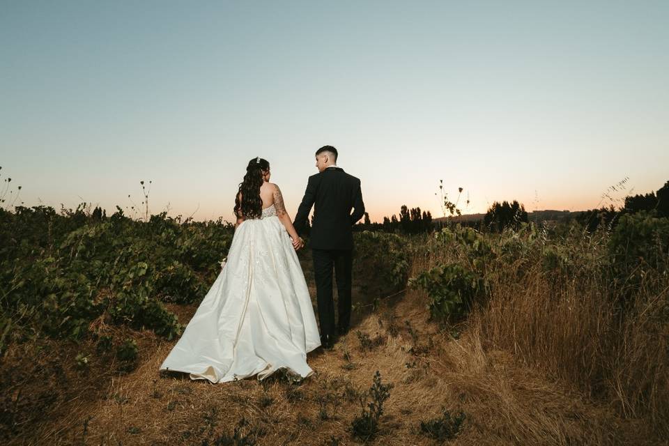 Sagrario Novias