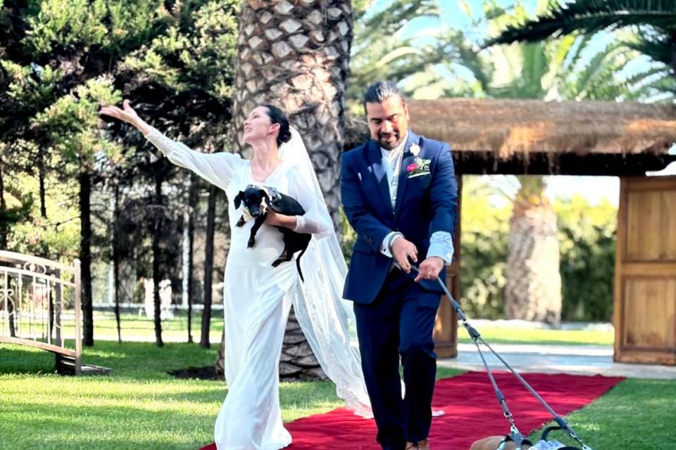 Sagrario Novias