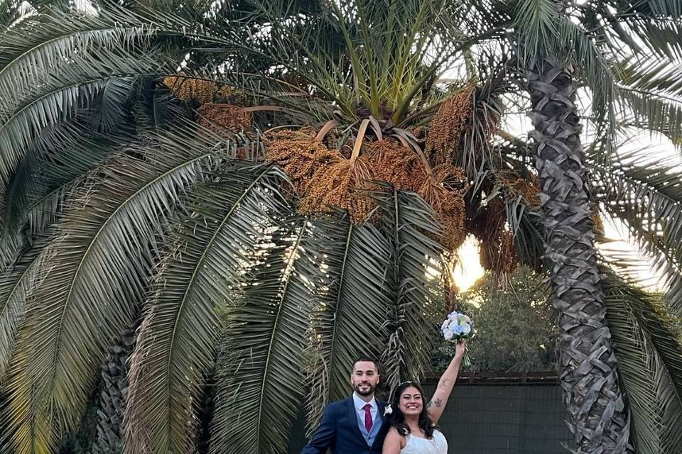 Sagrario Novias