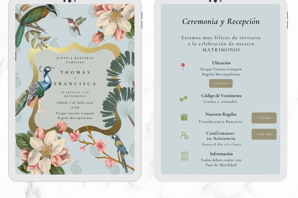 Invitación aves tropicales