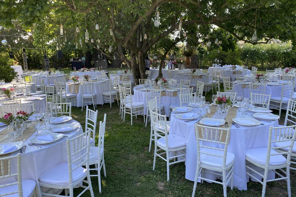 Celebración en el jardín