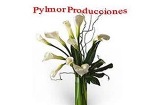 Pylmor Producciones logo