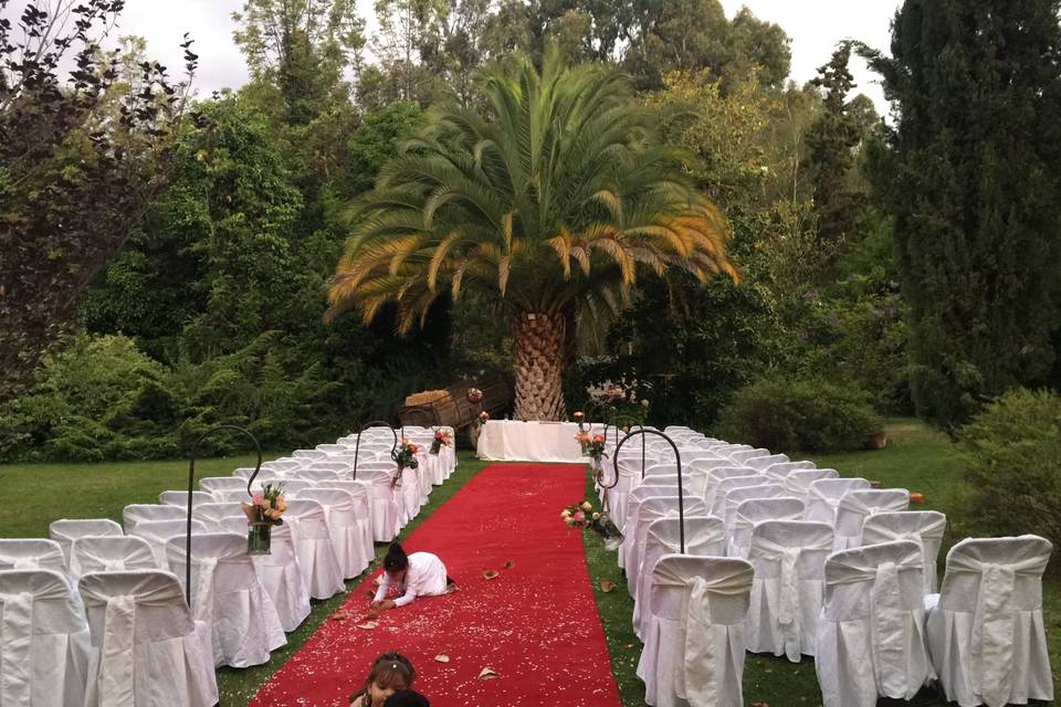 Ceremonia con alfombra