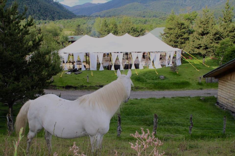 Carpa eventos (200 personas)