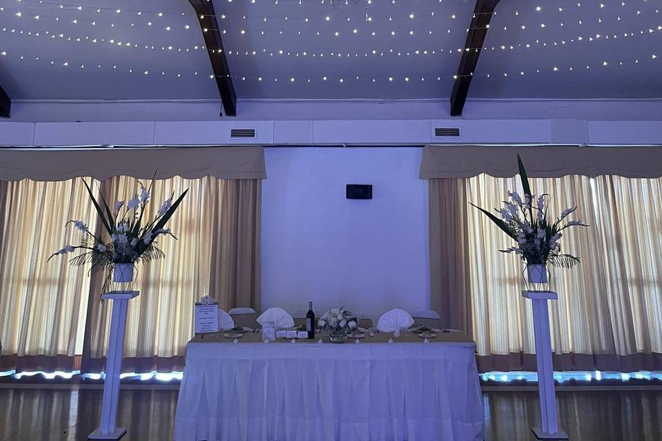 Luces hadas