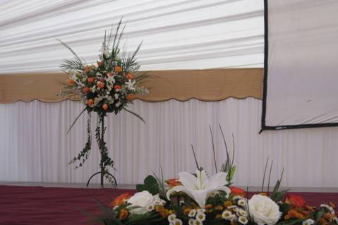 Ideal para decorar su evento