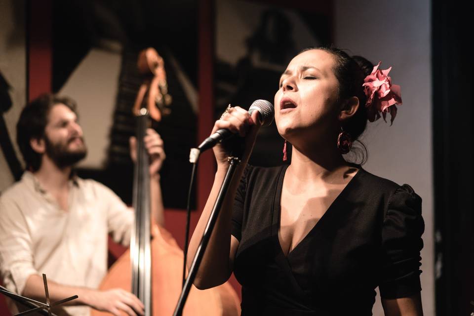 Amplio repertorio de bossanova