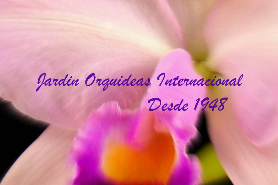 Jardin orquideas internacional