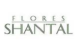 Flores Shantal logo