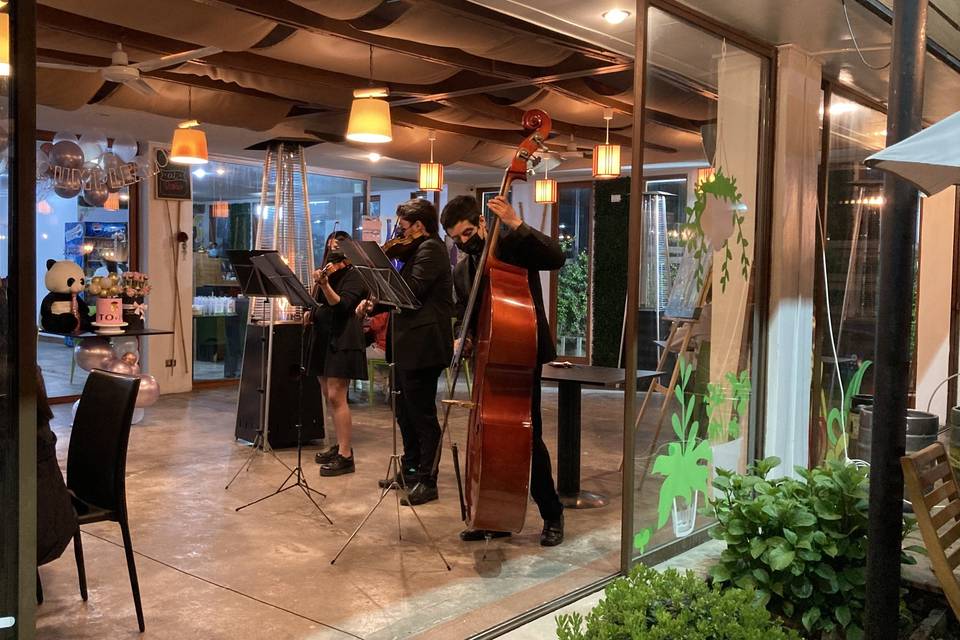 Serenata en Curicó