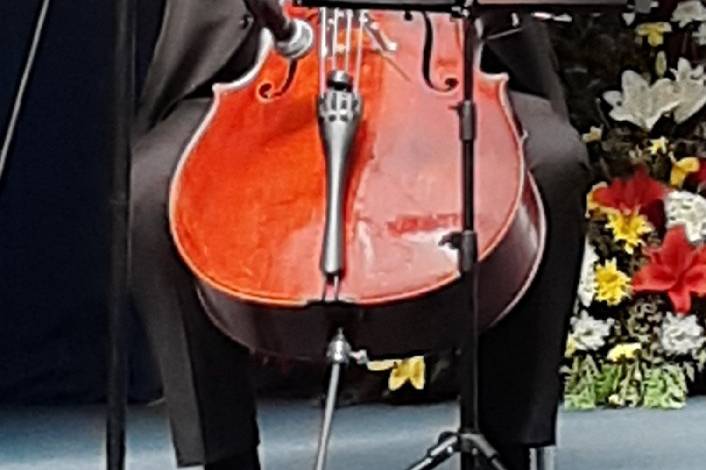 Violoncello