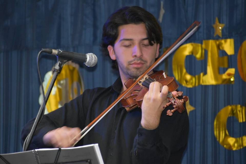 Violín