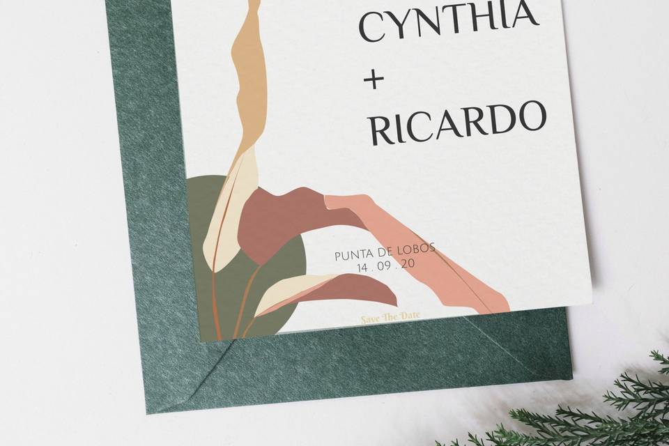 Cynthia + Ricardo I
