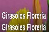 Girasoles Florería