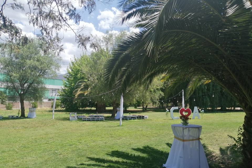 Verde