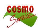 Cosmo service logo
