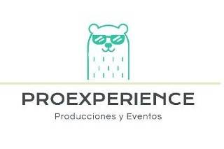 Proexperience logo