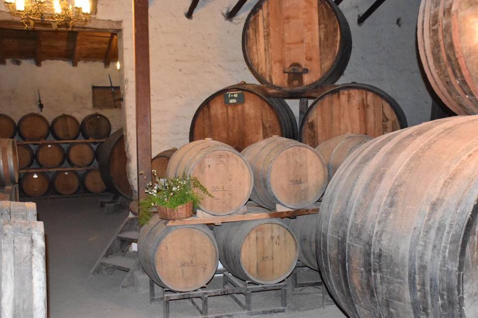 Bodega  de vinos