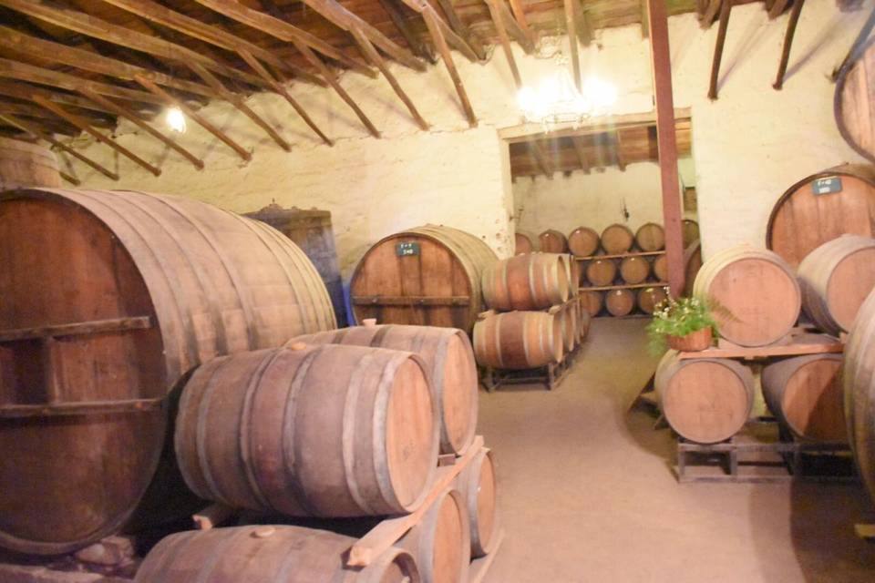 Bodega  de vinos