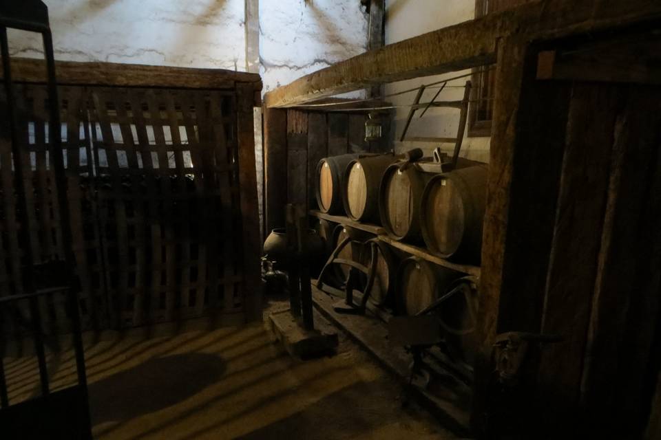 Bodega de vinos