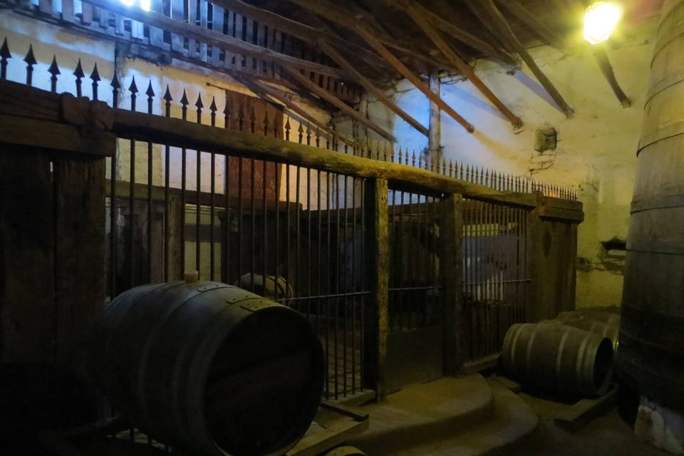 Bodega de vinos