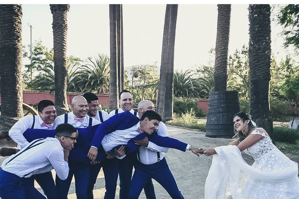 Novios