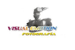 Visualemotion  logo