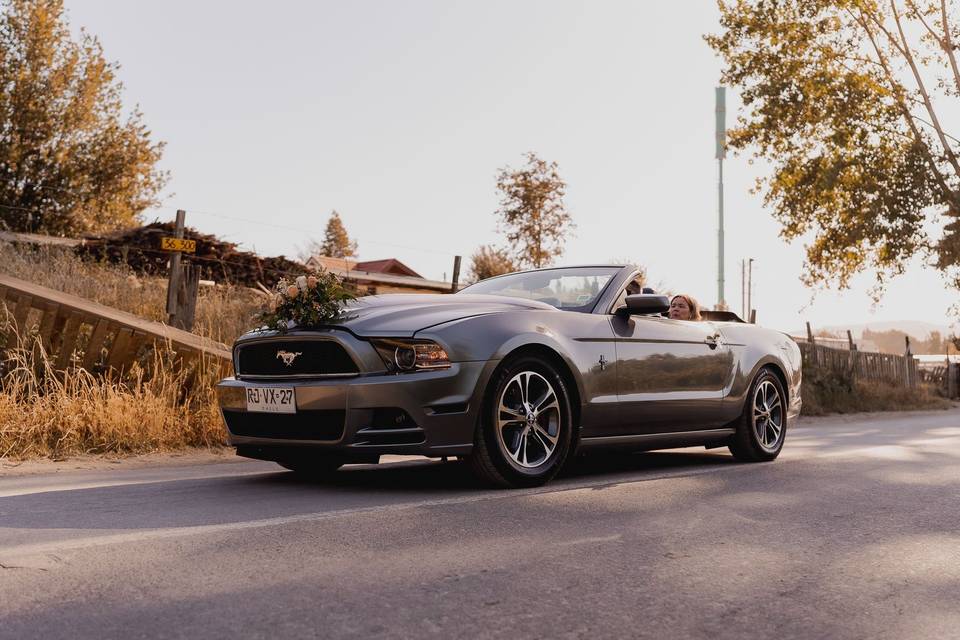 Auto novios