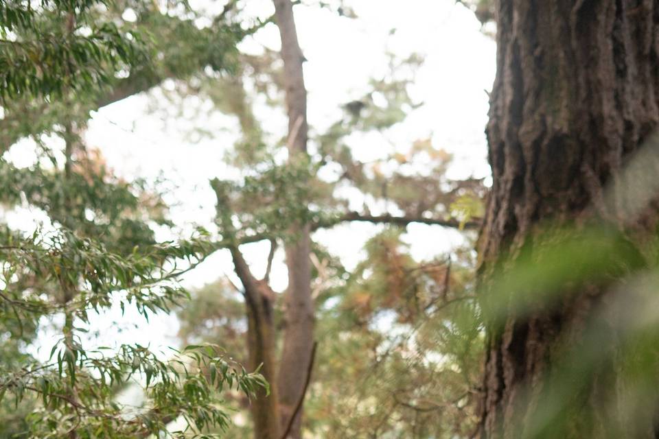 J&J Fotografía