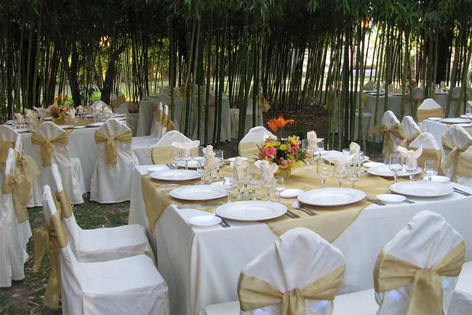 Matrimono bosque de bambú