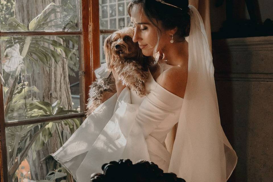 Petfriend