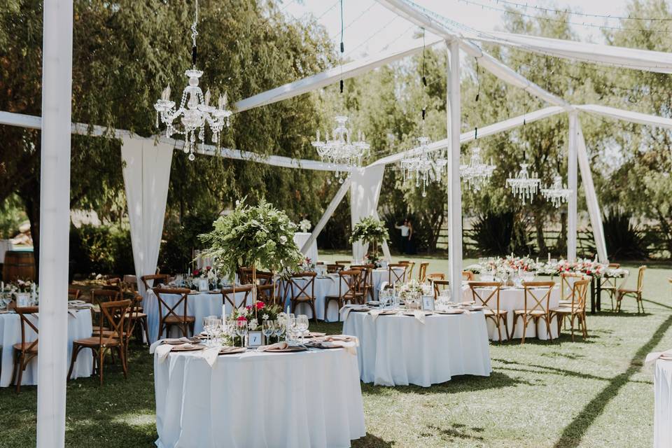 Capturando momentos del matrimonio