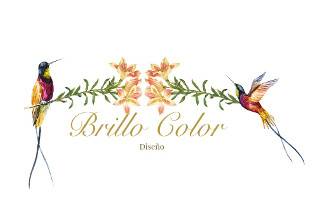 Brillo Color logo