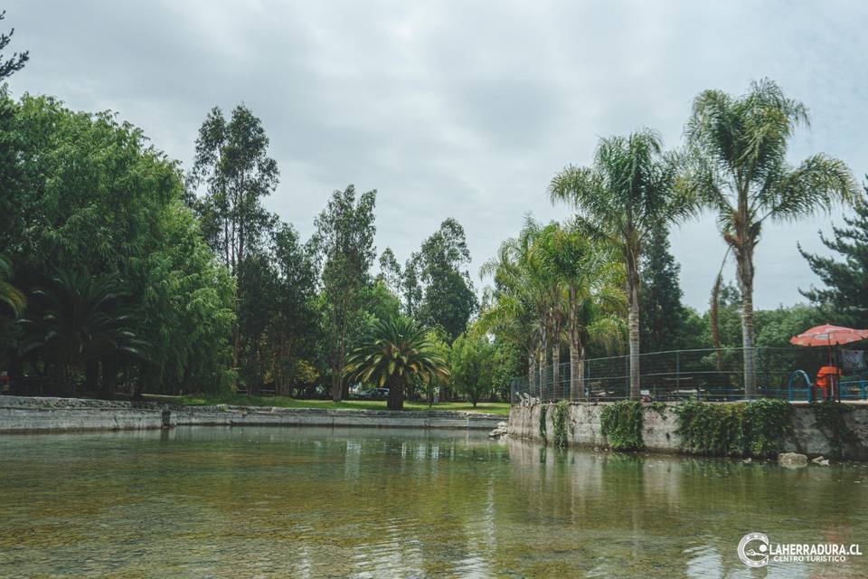Laguna Artificial con piscina