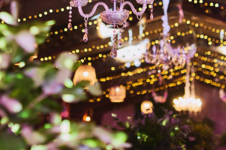 1000 metros de luces hada