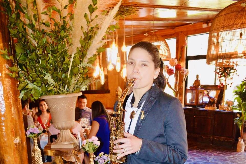 Bodas