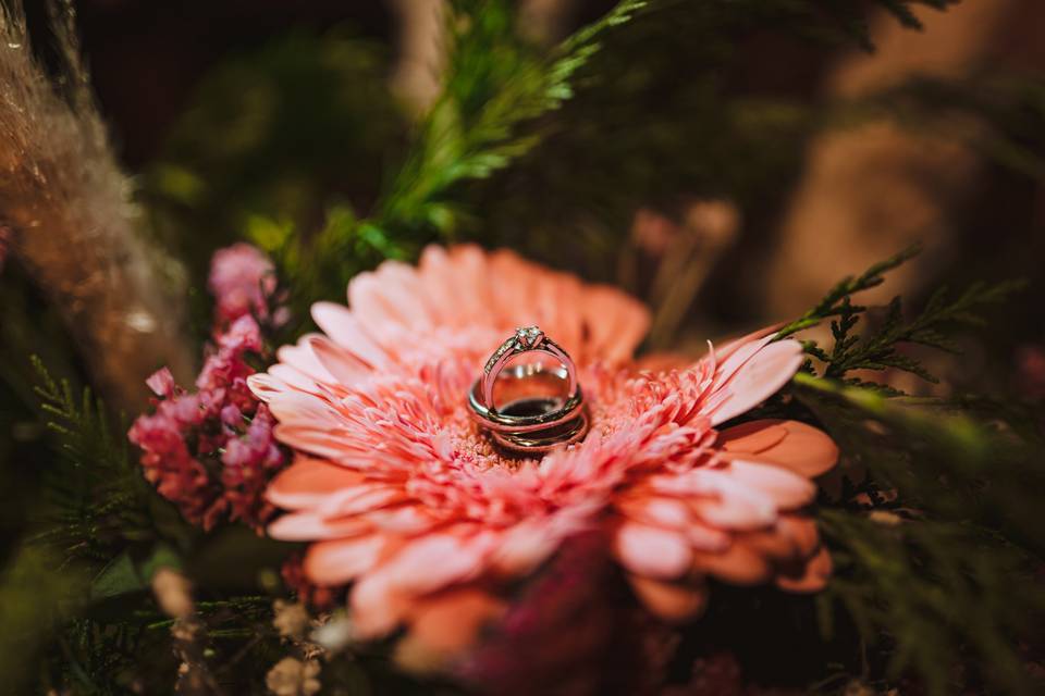 Fotógrafo de bodas