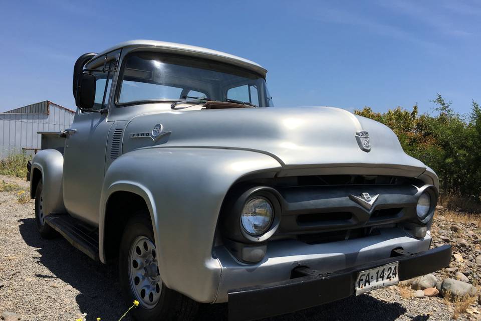 Ford F100