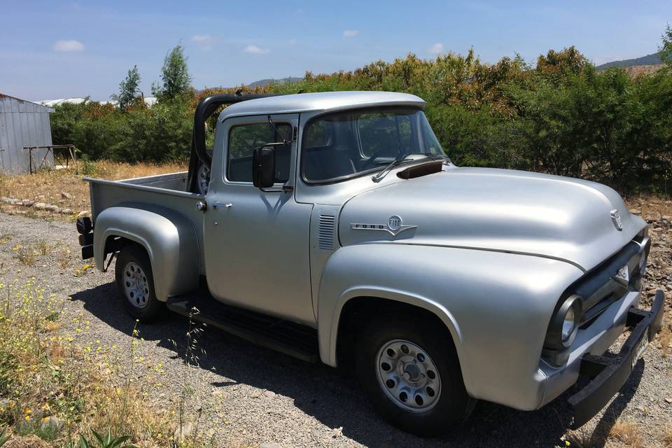 Ford F100