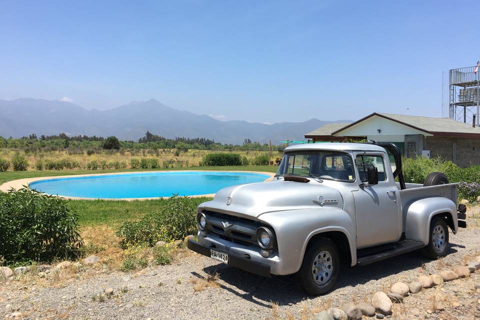 Ford F100