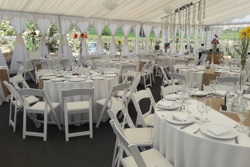 Comedor