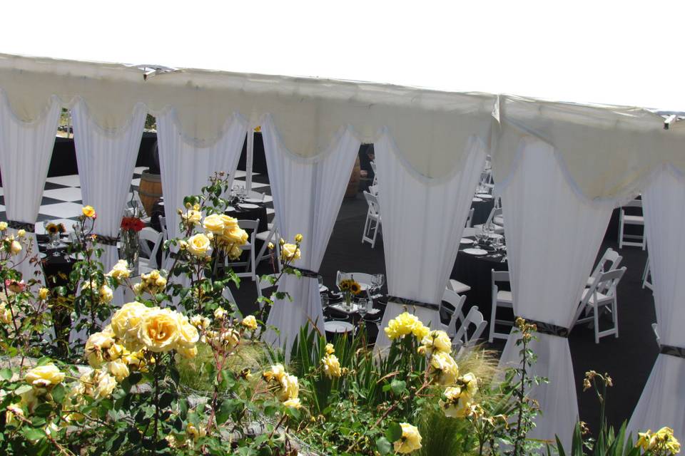 Carpa salón