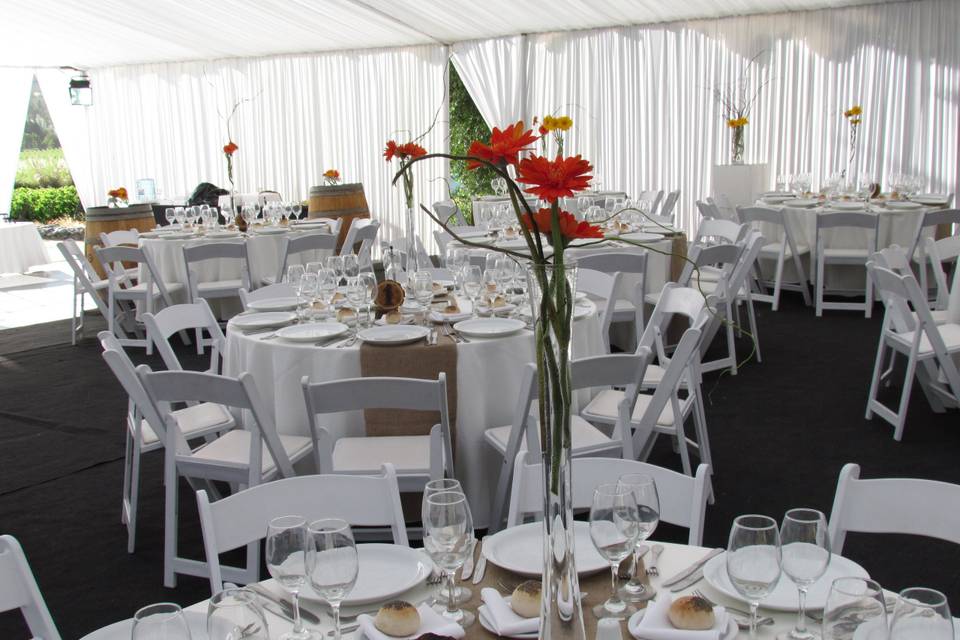 Eventos temporada