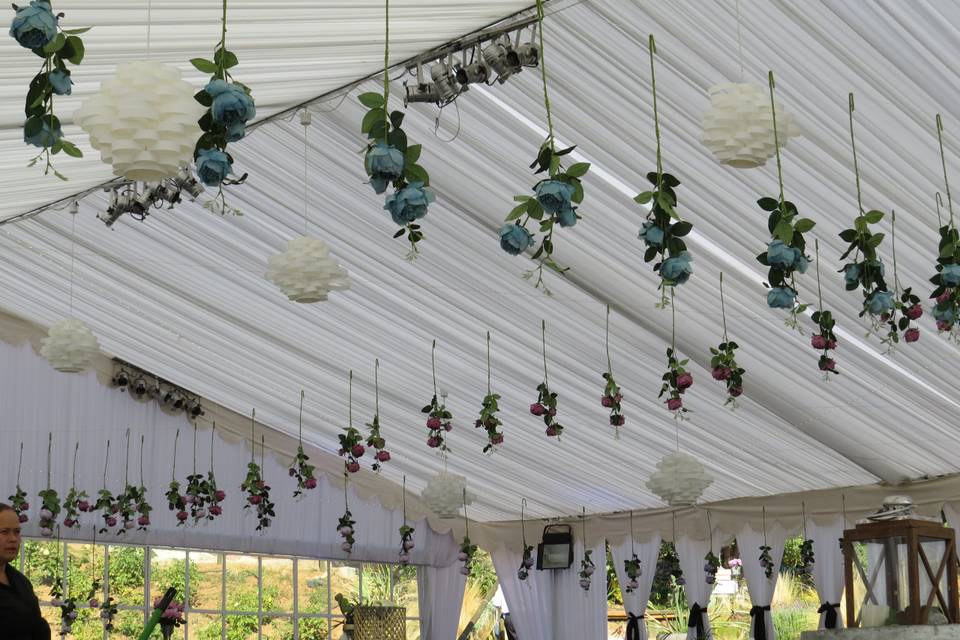 Decoración carpa