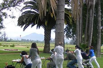 Masaje en silla en parque