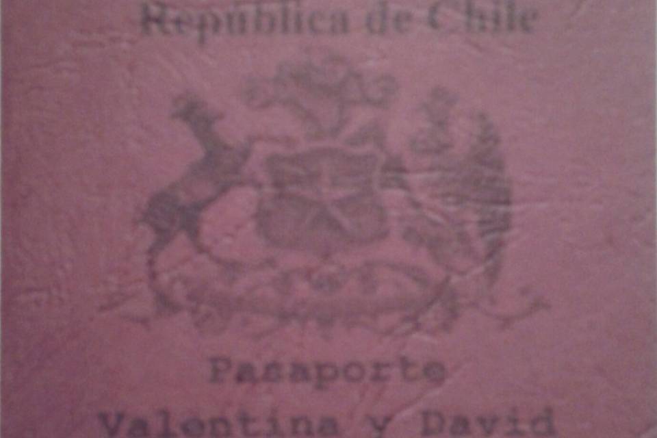 Caratula pasaporte