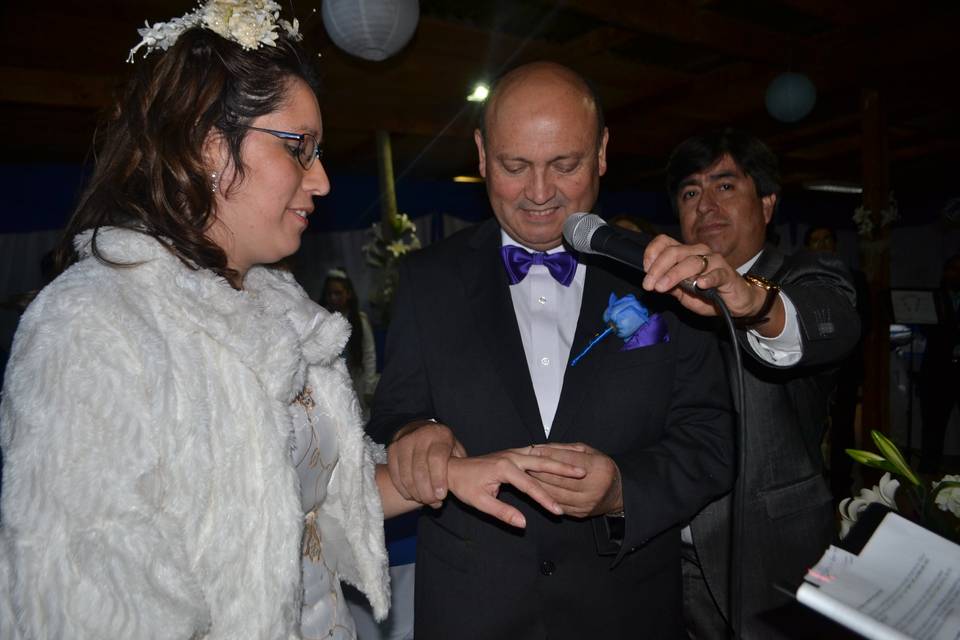 Novios 2019